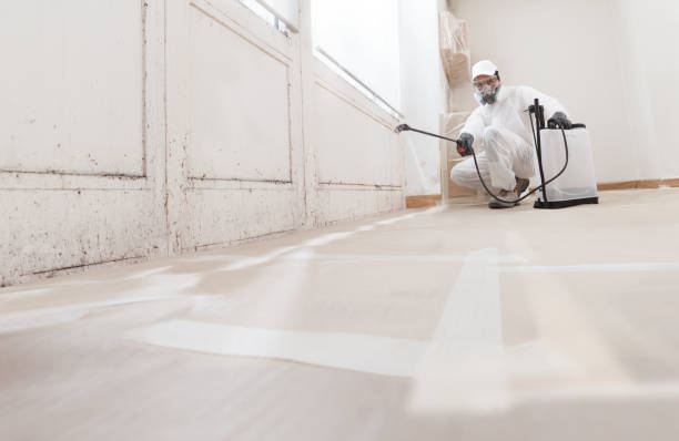 24/7 Emergency Attic Mold Remediation experts in Boiling Springs, PA