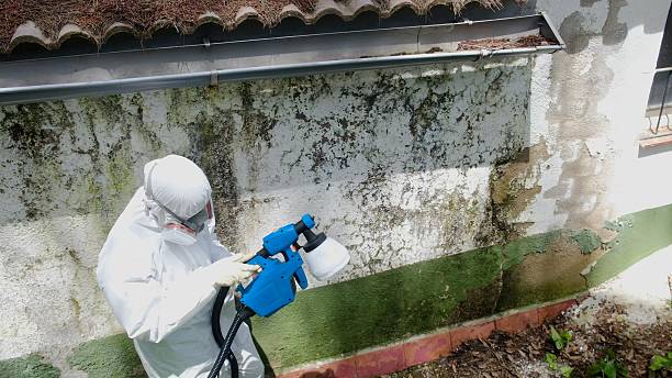 Top rated local Attic Mold Remediation specialists in Boiling Springs, PA